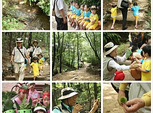 [노인일자리사업] 숲생태해설교육 - 봉화산근린공원