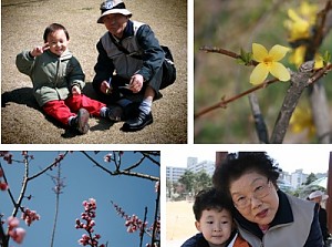 [노인일자리사업] 숲해설강사 활동모니터링