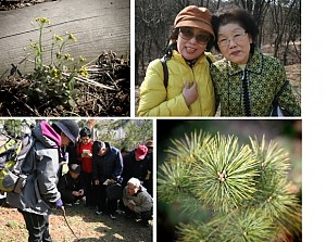 [노인일자리] 숲생태 직무교육